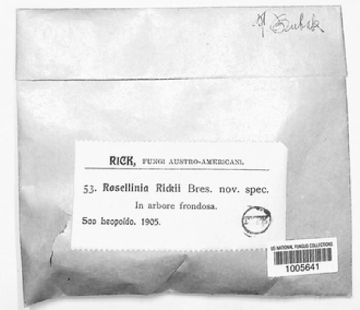 Rosellinia rickii image